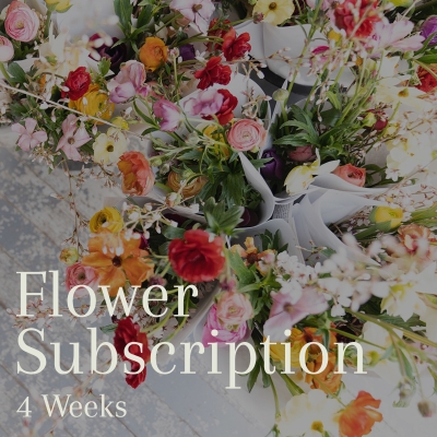 4 Week Flower Subscription